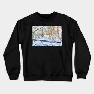 Forest in the Snow HDR Crewneck Sweatshirt